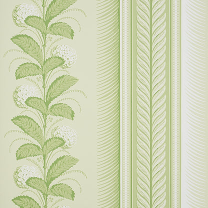 SCHUMACHER WALLCOVERING  HOBE ERWIN HYDRANGEA DRAPE   GREEN   - 5004456