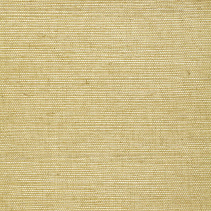 SCHUMACHER  ESSENTIAL HARUKI SISAL   CELERY   - 5004708