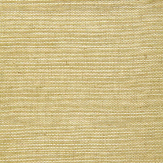SCHUMACHER  ESSENTIAL HARUKI SISAL   CELERY   - 5004708