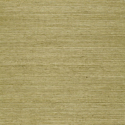 SCHUMACHER  ESSENTIAL HARUKI SISAL   OLIVE   - 5004709