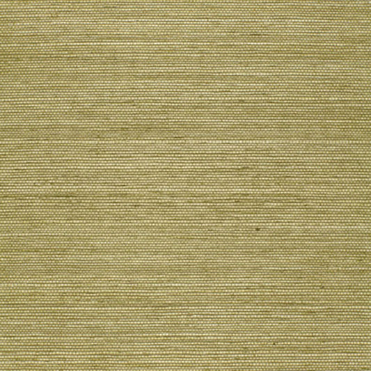 SCHUMACHER  ESSENTIAL HARUKI SISAL   OLIVE   - 5004709