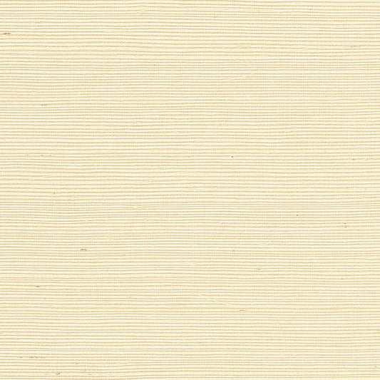 SCHUMACHER  PERFECT BASICS: HARUKI SISAL HARUKI SISAL   IVORY   - 5004716