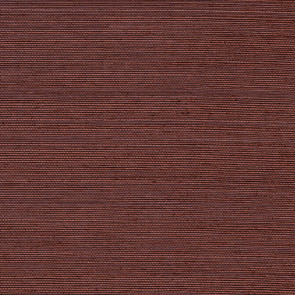 SCHUMACHER  PERFECT BASICS: HARUKI SISAL HARUKI SISAL   PLUM   - 5004721