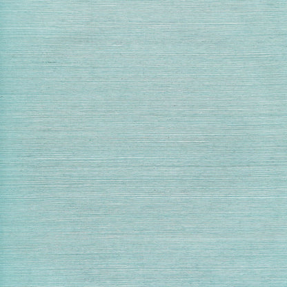 SCHUMACHER WALLCOVERING  PERFECT BASICS: HARUKI SISAL HARUKI SISAL   CARIBBEAN   - 5004725