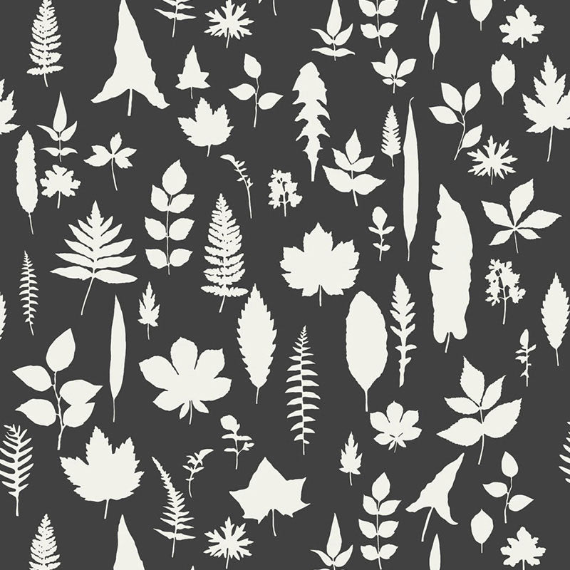 Beige botanical leaf silhouettes on charcoal gray background; assorted ferns, maple and leaf shapes.
