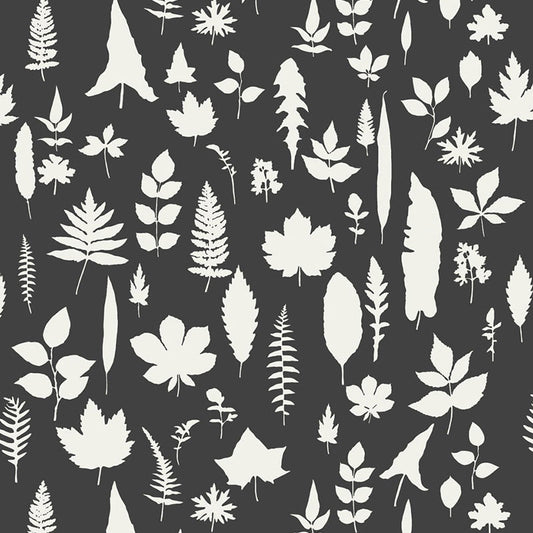 SCHUMACHER  MODERN NATURE LEAVES   GRAPHITE   - 5005023