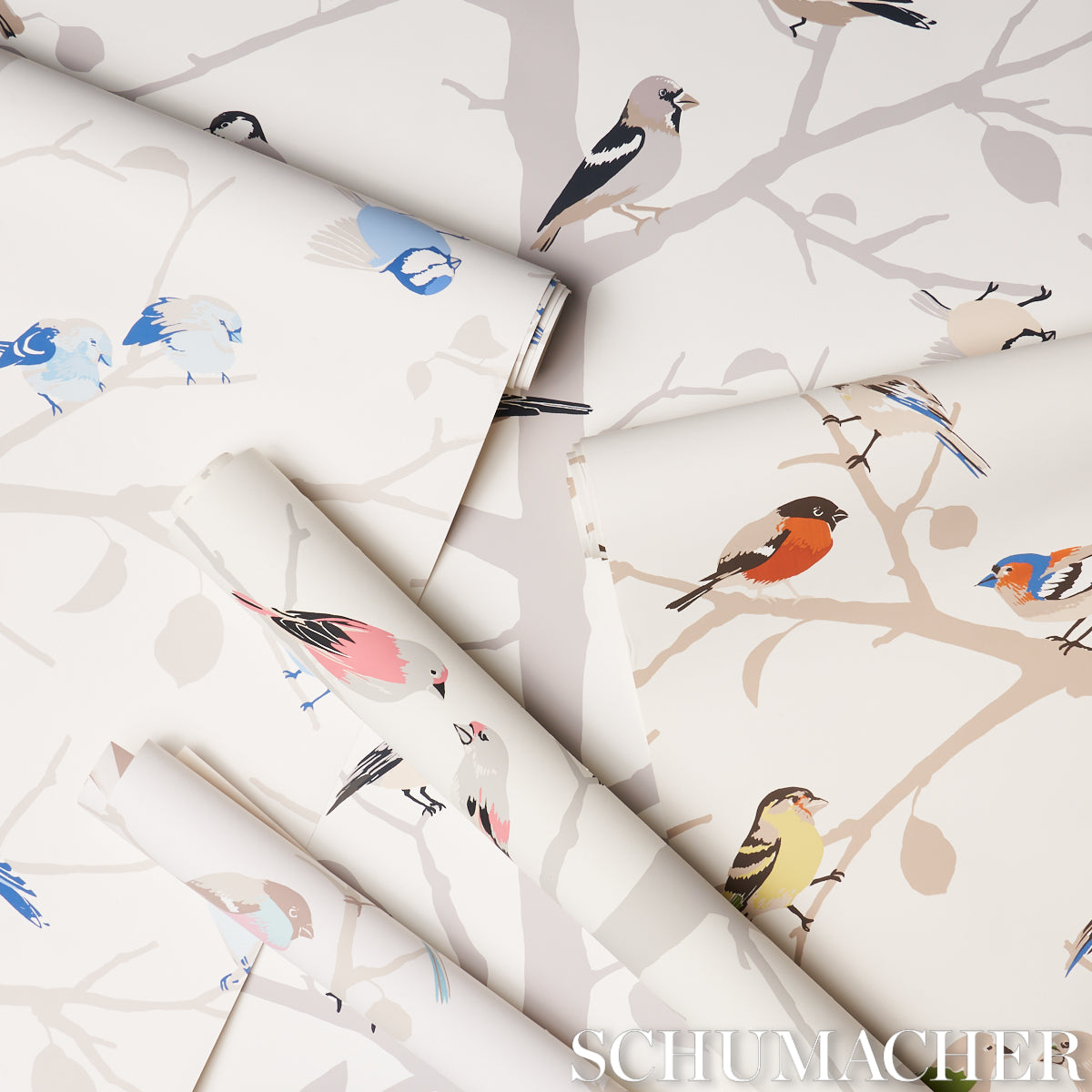 SCHUMACHER  EXUBERANT PRINTS A-TWITTER   WINTER   - 5005030