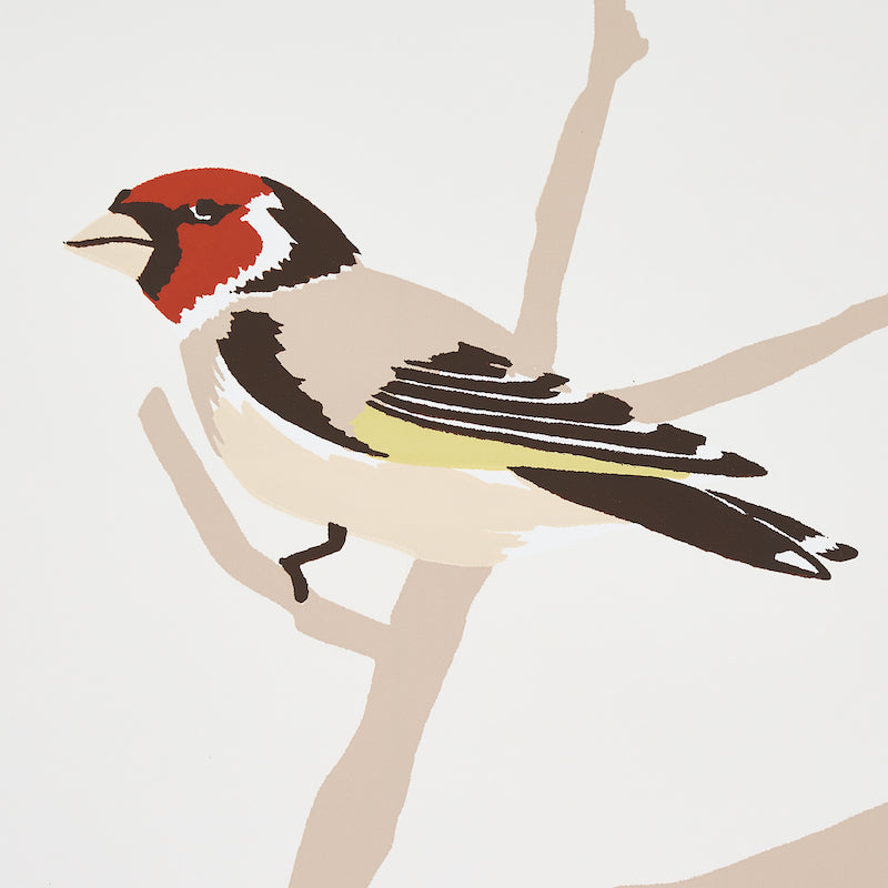 SCHUMACHER WALLCOVERING  EXUBERANT PRINTS A-TWITTER   SUMMER   - 5005031