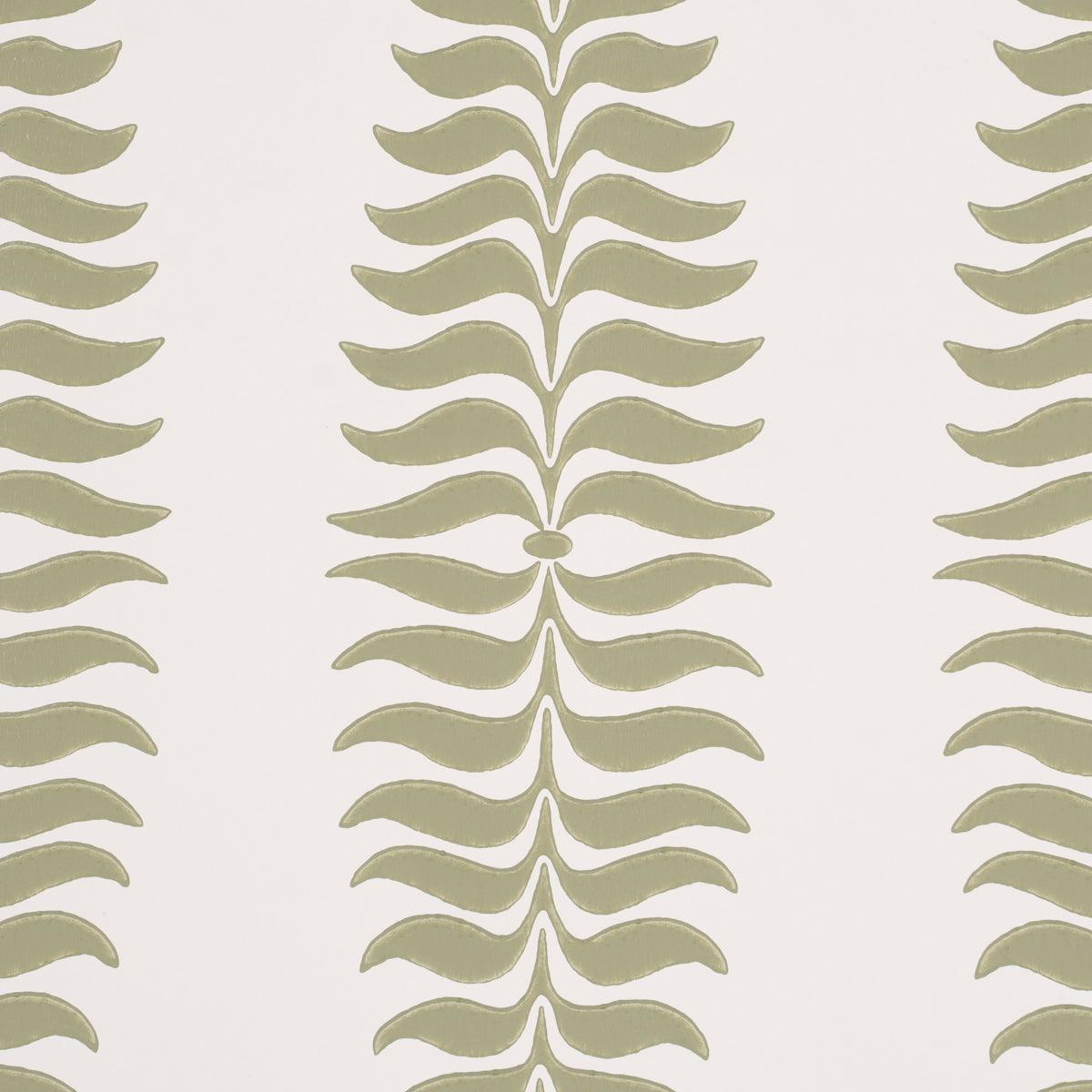 SCHUMACHER  PERENNIAL FAVORITES FERN TREE   Sage   - 5005076