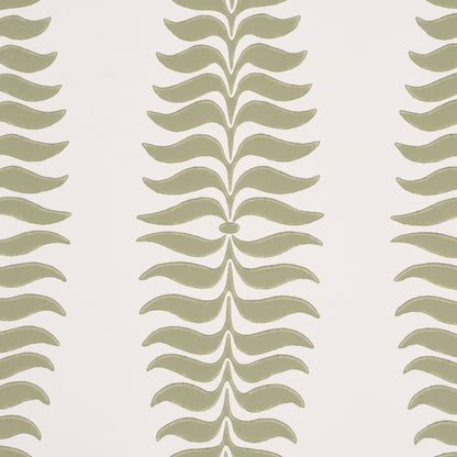 SCHUMACHER  PERENNIAL FAVORITES FERN TREE   Sage   - 5005076