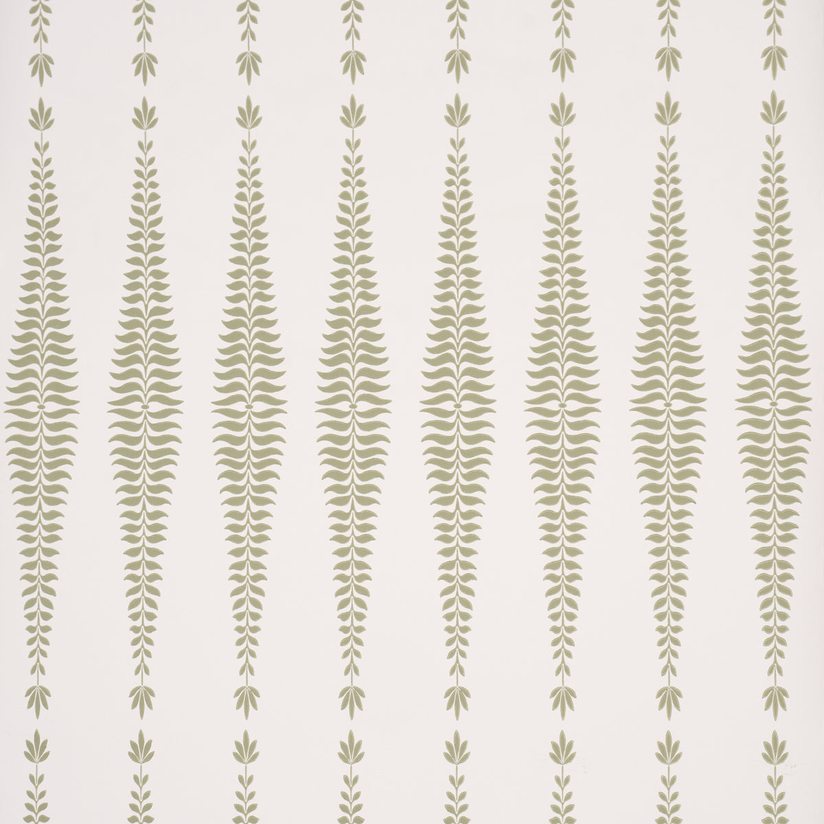 SCHUMACHER  PERENNIAL FAVORITES FERN TREE   Sage   - 5005076