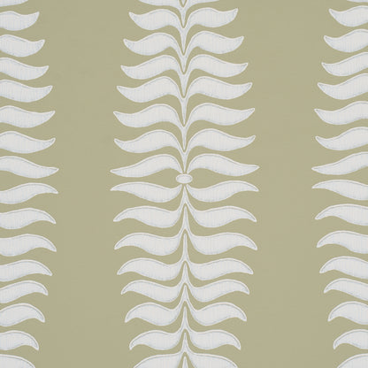 SCHUMACHER  PERENNIAL FAVORITES FERN TREE   Olive   - 5005077