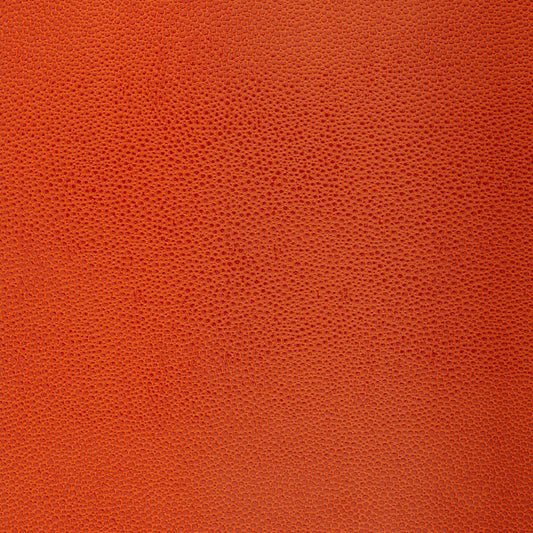 SCHUMACHER  FABULOUS FAUX SHAGREEN   CHINESE ORANGE   - 5005852