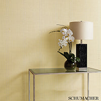 SCHUMACHER  CELERIE KEMBLE STUD STRIPE   Natural / Bronze   - 5006111