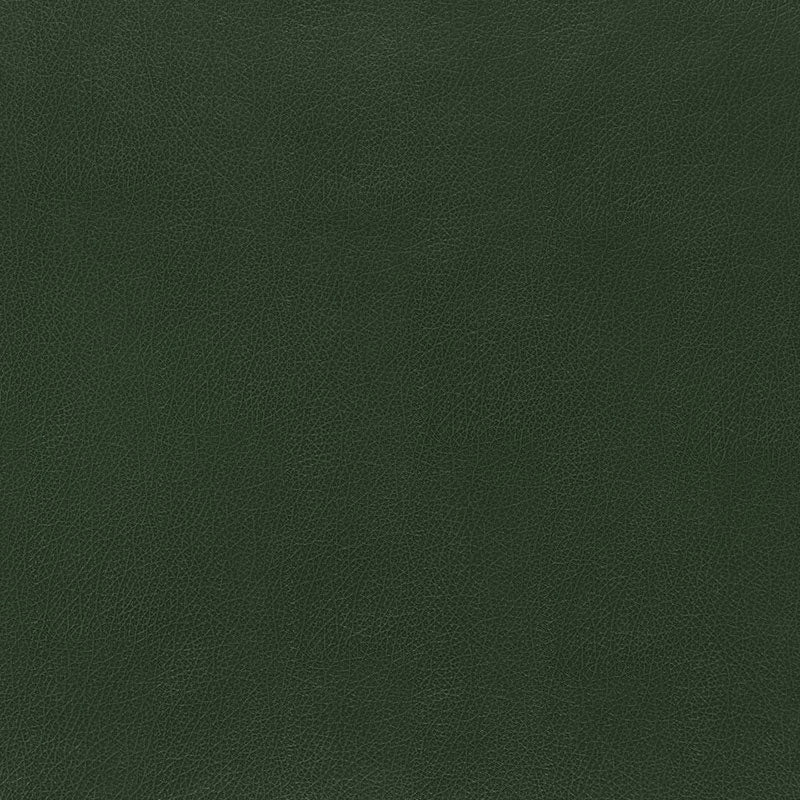 Dark green pebbled leather texture close-up, rich color for upholstery, bags or trims.