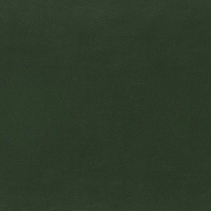 Dark green pebbled leather texture close-up, rich color for upholstery, bags or trims.