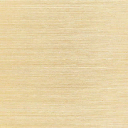 SCHUMACHER  PERFECT BASICS: HARUKI SISAL HAIKU SISAL   Citrine   - 5006861