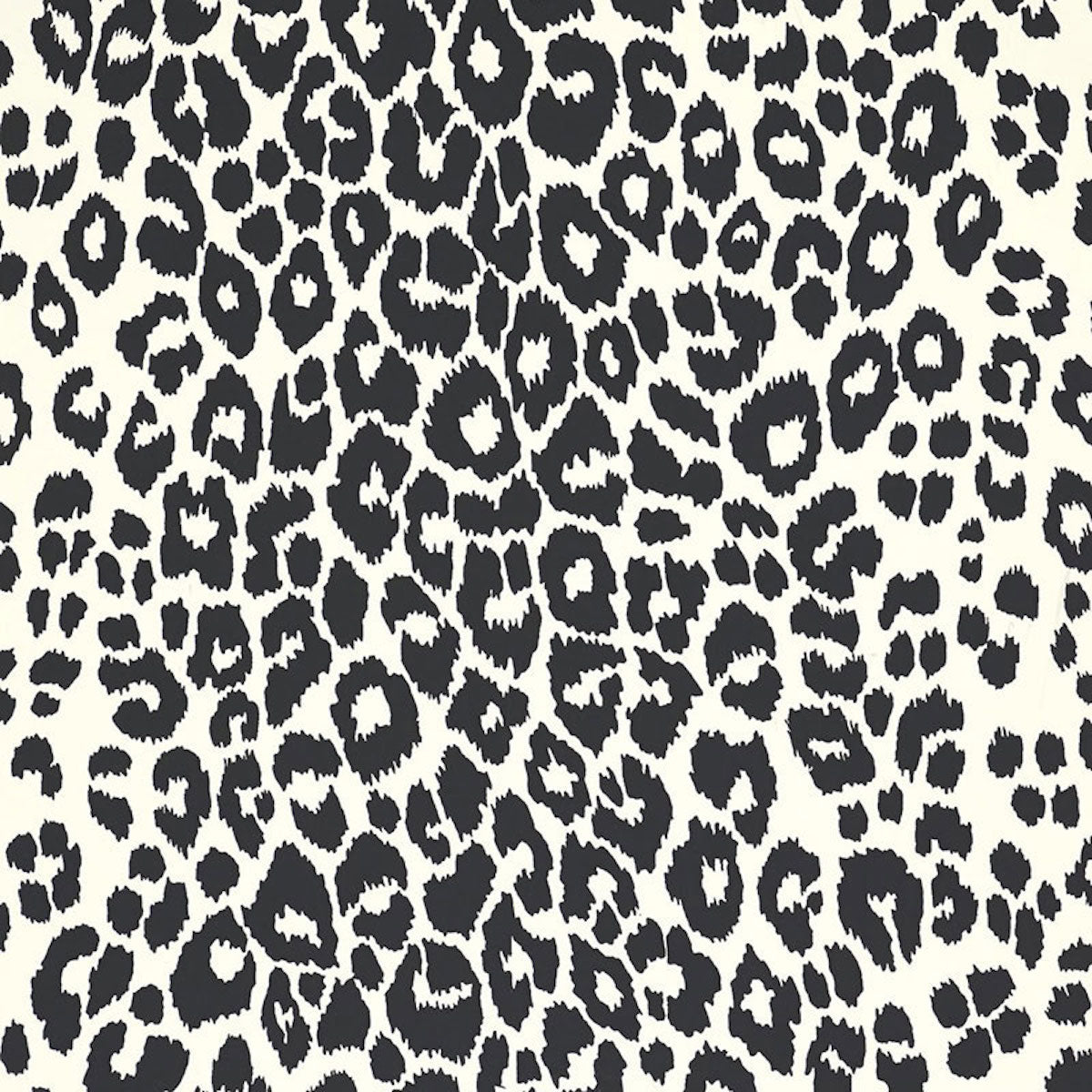 SCHUMACHER  EXUBERANT PRINTS ICONIC LEOPARD   Graphite   - 5007012