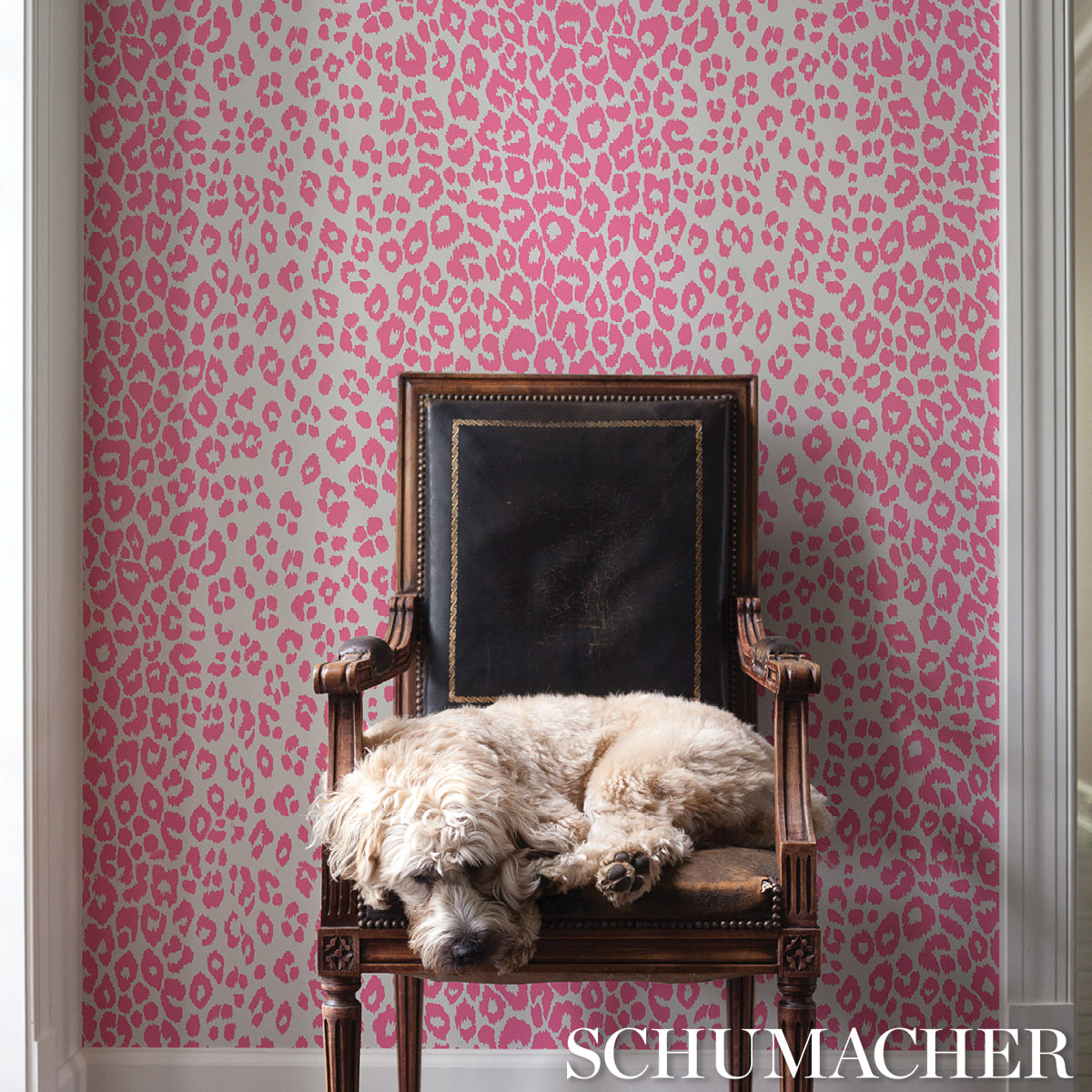 SCHUMACHER  PREPPY CHIC ICONIC LEOPARD   Pink   - 5007016