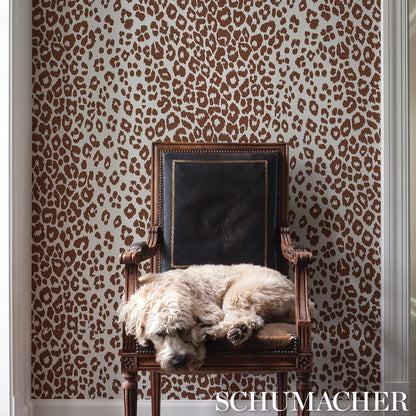 SCHUMACHER  PREPPY CHIC ICONIC LEOPARD   Brown   - 5007018