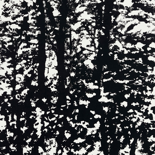 SCHUMACHER  DRAWN FROM NATURE WOODLAND   NIGHT   - 5007444