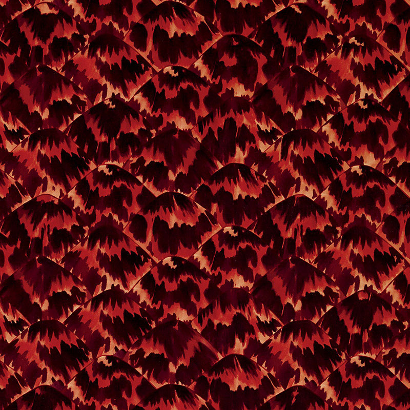 SCHUMACHER  CELERIE KEMBLE TORTOISE   IMPERIAL   - 5007452