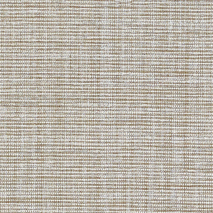 SCHUMACHER  QUIET BEAUTY ANODIZED RAFFIA   WARM SILVER   - 5007781