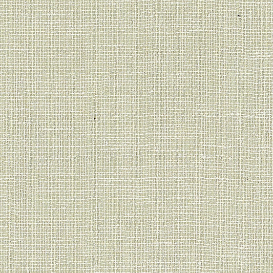 SCHUMACHER  QUIET BEAUTY LINEN GESSO   CELADON   - 5007804