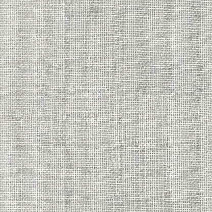 SCHUMACHER  QUIET BEAUTY LINEN GESSO   SILVER   - 5007809