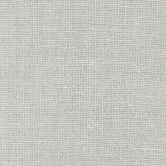 SCHUMACHER  QUIET BEAUTY LINEN GESSO   SILVER   - 5007809