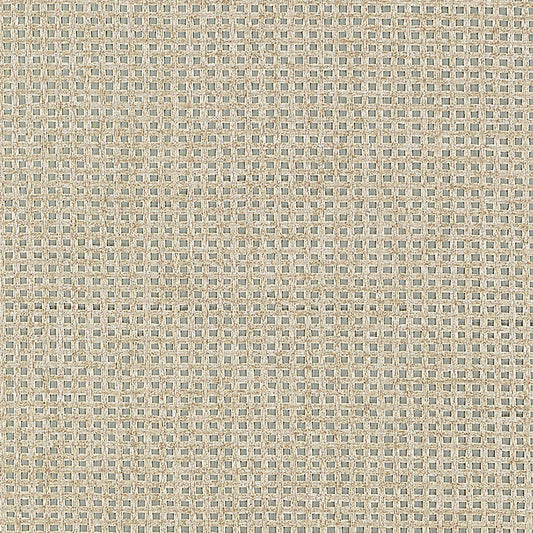 SCHUMACHER  QUIET BEAUTY METALLIC MESH   SILVER   - 5007850