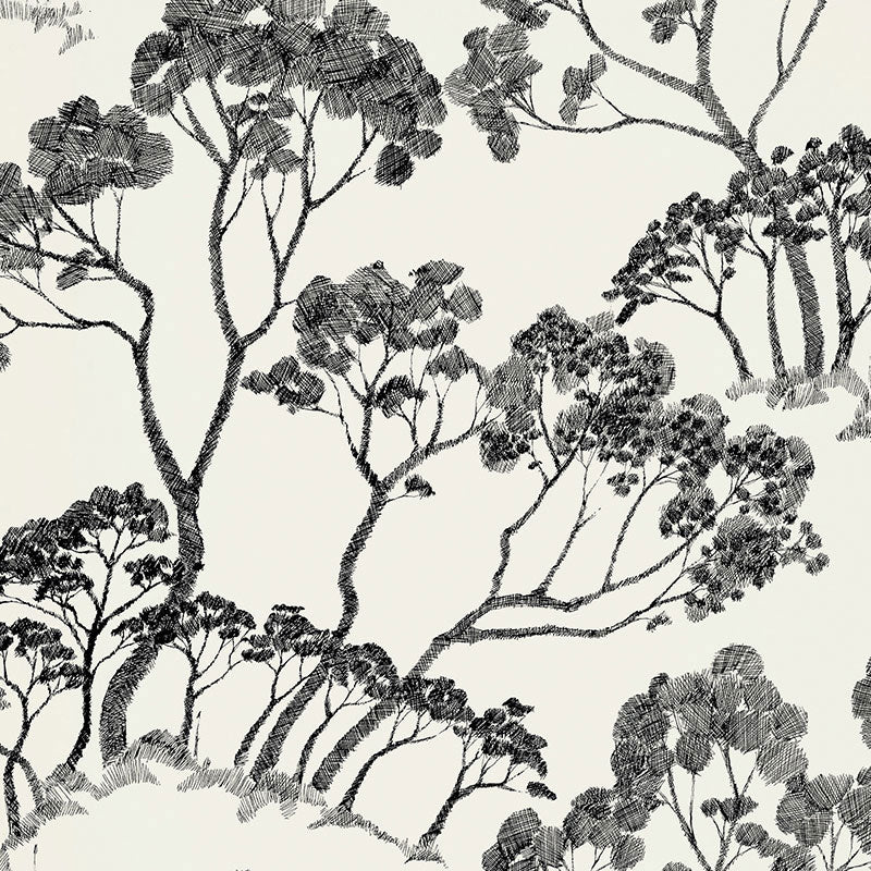 SCHUMACHER WALLCOVERING  DRAWN FROM NATURE TIMBER !   BLACK & WHITE   - 5007980