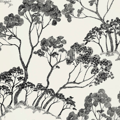 SCHUMACHER WALLCOVERING  DRAWN FROM NATURE TIMBER !   BLACK & WHITE   - 5007980