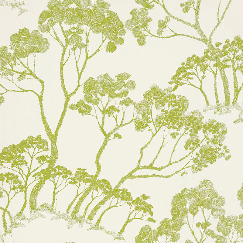SCHUMACHER  DRAWN FROM NATURE TIMBER !   LEAF   - 5007981