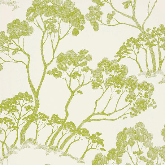 SCHUMACHER  DRAWN FROM NATURE TIMBER !   LEAF   - 5007981