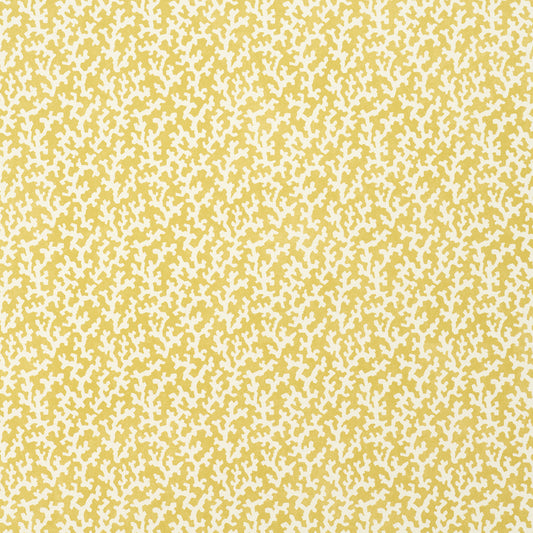 SCHUMACHER  VEERE GRENNEY FOLLY   MIMOSA   - 5008007