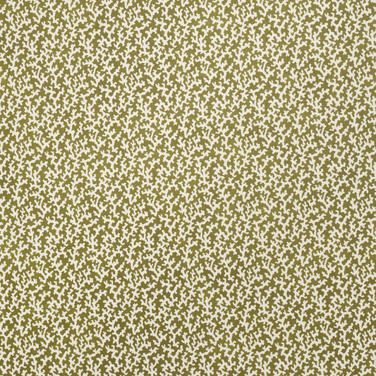 SCHUMACHER  VEERE GRENNEY FOLLY   OLIVE   - 5008008