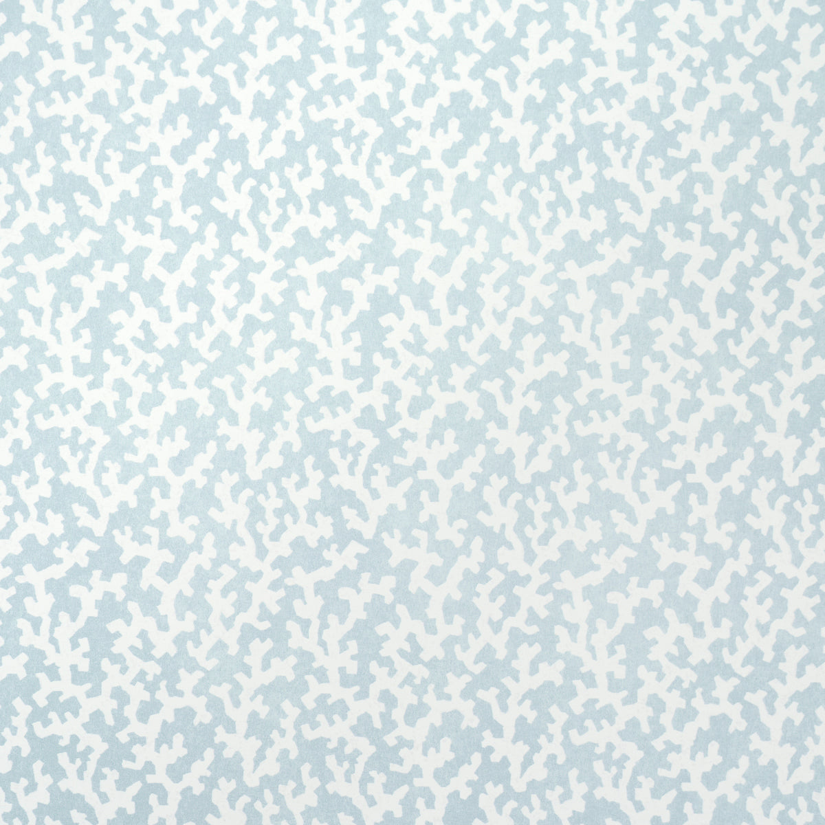 SCHUMACHER  VEERE GRENNEY FOLLY   SKY   - 5008009