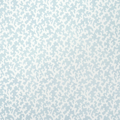 SCHUMACHER  VEERE GRENNEY FOLLY   SKY   - 5008009