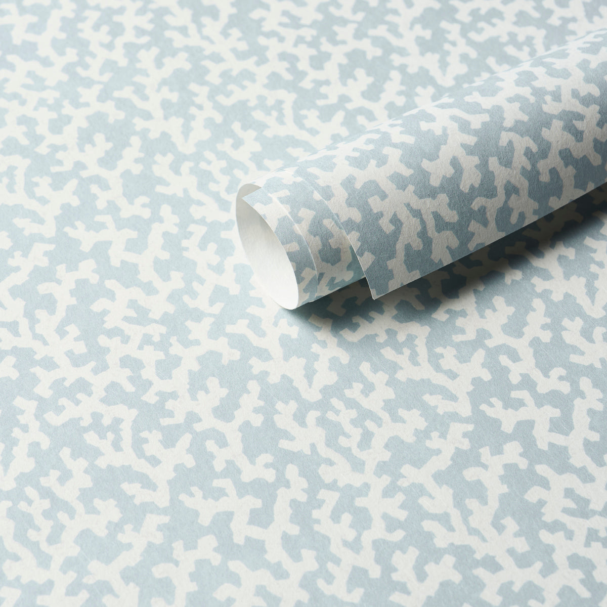 SCHUMACHER  VEERE GRENNEY FOLLY   SKY   - 5008009