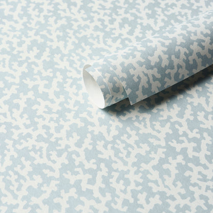 SCHUMACHER  VEERE GRENNEY FOLLY   SKY   - 5008009