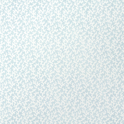 SCHUMACHER  VEERE GRENNEY FOLLY   SKY   - 5008009