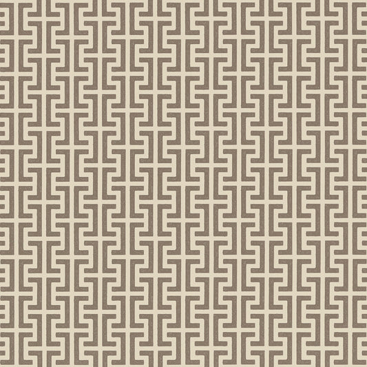 SCHUMACHER  VEERE GRENNEY TEMPLE   BERBER BROWN   - 5008056