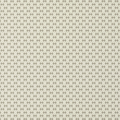 SCHUMACHER  DAVID OLIVER DOMINO   Muse   - 5008060