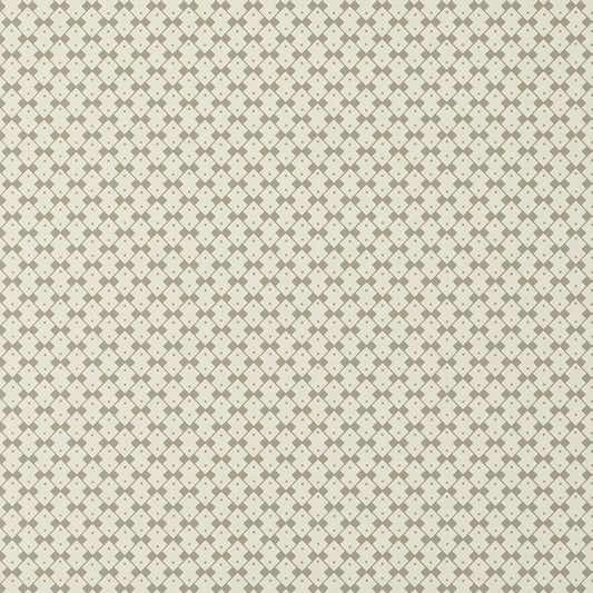 SCHUMACHER  DAVID OLIVER DOMINO   Muse   - 5008060
