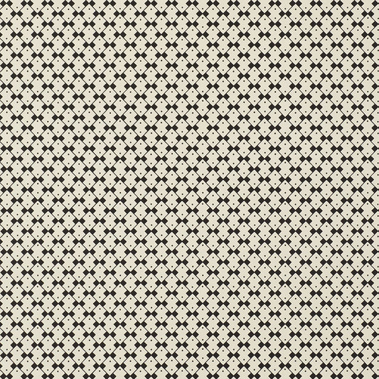 SCHUMACHER  DAVID OLIVER DOMINO   PIANO FORTE   - 5008061