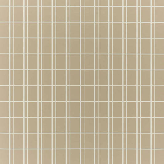 SCHUMACHER  DAVID OLIVER OTTO   SVELTE   - 5008080