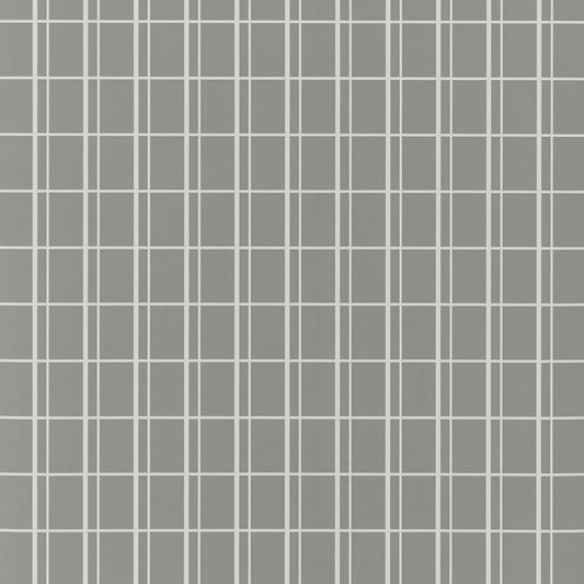 SCHUMACHER  DAVID OLIVER OTTO   STORM   - 5008087