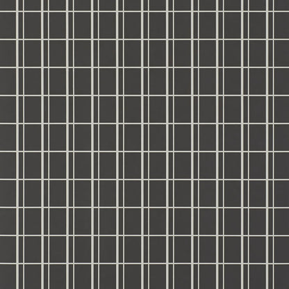 SCHUMACHER  DAVID OLIVER OTTO   BRUNO   - 5008088