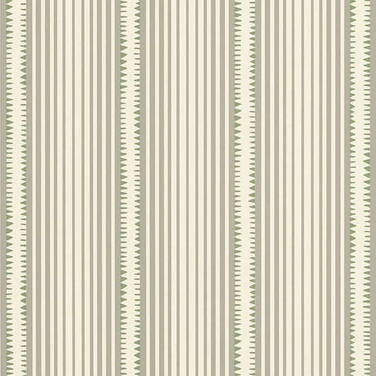 SCHUMACHER  DAVID OLIVER MONCORVO   SAMPHIRE   - 5008102